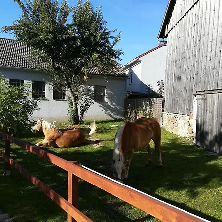 Guglhupf Appartement *